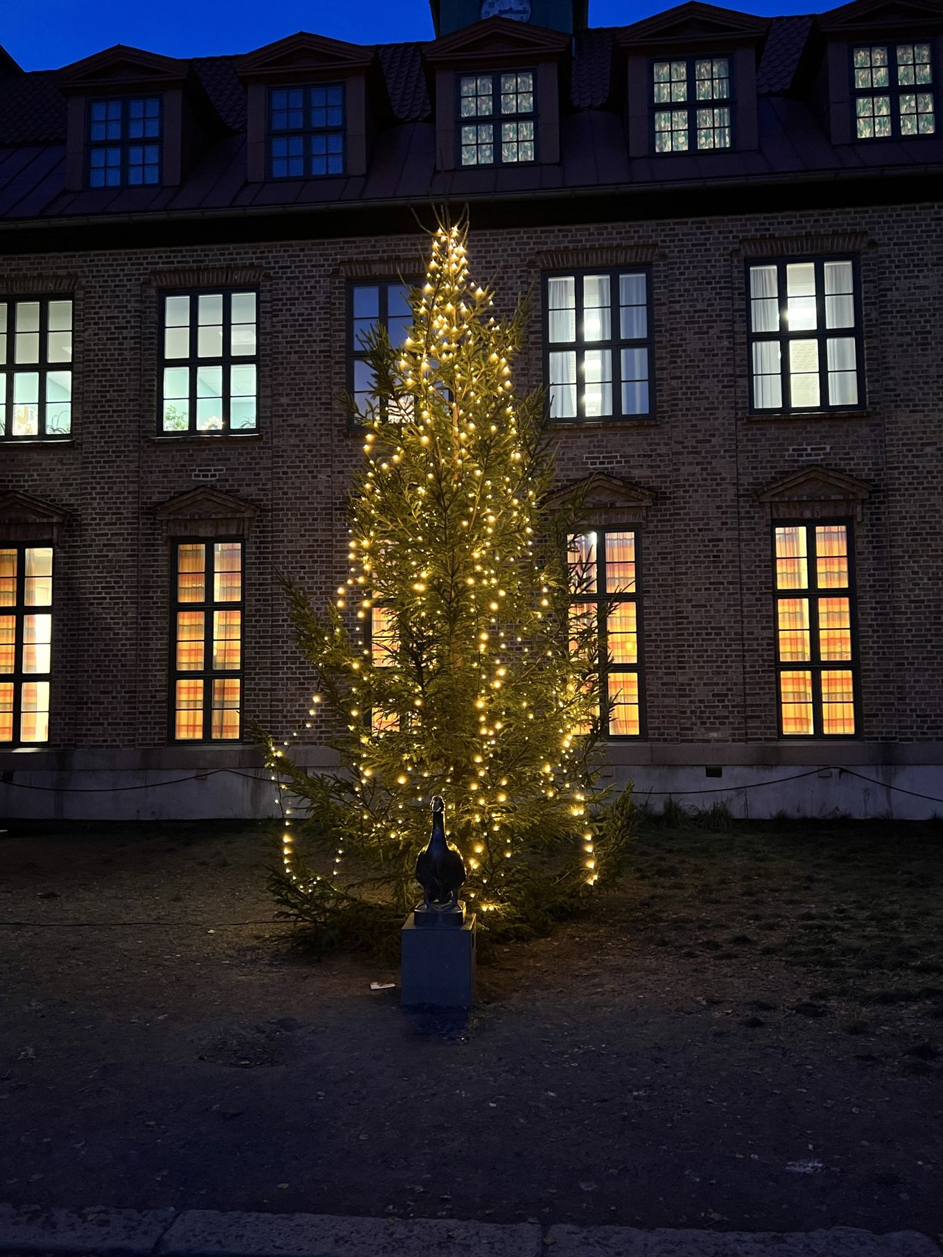 et tre med lys foran en bygning et tre med lys foran en bygning