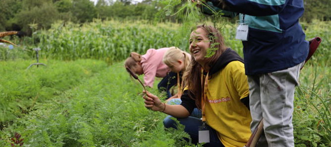 noen få personr som jobber i et felt noen få personr som jobber i et felt